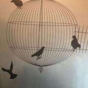 ヒメ日記 2025/12/22 12:24 投稿 美樹 出会い系人妻ネットワーク 上野〜大塚編