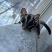 ヒメ日記 2025/12/14 15:53 投稿 木元 うらら Canx2神戸店