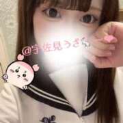 ヒメ日記 2025/12/17 12:11 投稿 宇佐見 BBW（ビッグビューティフルウーマン）