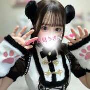 ヒメ日記 2025/12/23 08:29 投稿 宇佐見 BBW（ビッグビューティフルウーマン）