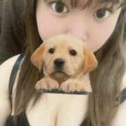 ふみ しゅ！ 丸妻 厚木店