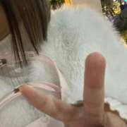 ヒメ日記 2025/11/26 18:22 投稿 トア【FG系列】 デリぽちゃin柏（FG系列）