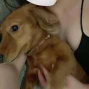 ヒメ日記 2025/12/29 13:21 投稿 高見　すず ナディア（奈良）