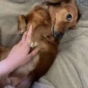 ヒメ日記 2026/02/27 02:14 投稿 高見　すず ナディア（奈良）