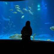 ヒメ日記 2026/03/10 13:31 投稿 高見　すず ナディア（奈良）