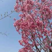 ヒメ日記 2026/03/28 20:33 投稿 あんじゅ 梅田アバンチュール