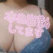ヒメ日記 2026/09/20 12:44 投稿 【大塚 めいさ】 梅田ムチSpa女学院