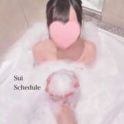 ヒメ日記 2025/12/30 17:16 投稿 スイ マテリアル