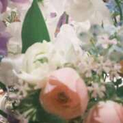 ヒメ日記 2026/04/06 09:30 投稿 貴咲ユリナ【PREMIUM】 素人専門　街角レディ