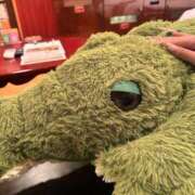 ヒメ日記 2026/03/29 18:54 投稿 なの 姫コレクション 高崎前橋店