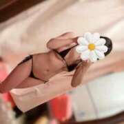 ヒメ日記 2026/01/04 11:45 投稿 かりん カワサキEROTIC（ソープランド）