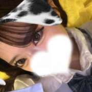 ヒメ日記 2026/05/19 18:47 投稿 えれん JAPAN CLUB BUNNY LOUNGE