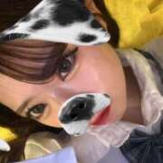 ヒメ日記 2026/07/10 23:15 投稿 えれん JAPAN CLUB BUNNY LOUNGE