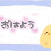 ヒメ日記 2026/04/09 08:20 投稿 ノア【新人】【宮崎っ子】 Alice