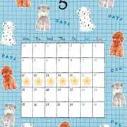 ヒメ日記 2026/05/10 22:50 投稿 ノア【新人】【宮崎っ子】 Alice