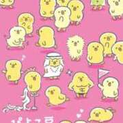 ヒメ日記 2026/07/18 17:30 投稿 ノア【新人】【宮崎っ子】 Alice