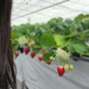 ヒメ日記 2026/03/14 21:00 投稿 真優(まゆ)M性感 フェチM性感　極嬢　ageHa