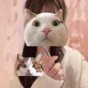 ヒメ日記 2026/01/08 10:00 投稿 リリ EXE（エグゼ）