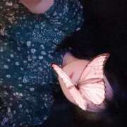 ヒメ日記 2025/12/16 07:20 投稿 さり Beppin house