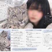 ヒメ日記 2026/09/19 10:00 投稿 さり Beppin house