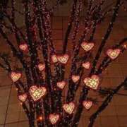 ヒメ日記 2025/12/02 18:11 投稿 ゆり 博多プラチナム