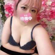 ヒメ日記 2025/12/04 13:44 投稿 あずき 丸妻 新横浜店