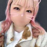 ヒメ日記 2026/02/22 13:15 投稿 あずき 丸妻 新横浜店