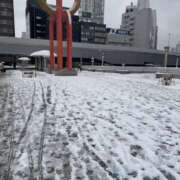 ヒメ日記 2026/02/08 10:29 投稿 来栖えみ 色気あるワイフ