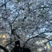 ヒメ日記 2026/04/02 18:13 投稿 来栖えみ 色気あるワイフ