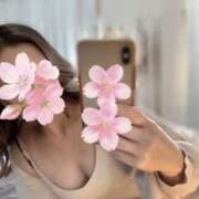 ヒメ日記 2026/03/24 11:36 投稿 倉木りんか ワイフコレクション