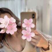 ヒメ日記 2026/04/03 21:03 投稿 倉木りんか ワイフコレクション