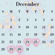 ヒメ日記 2025/12/22 13:43 投稿 ☆禰豆子【ねずこ】☆ club MUTEKI