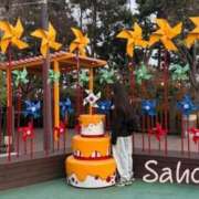 ヒメ日記 2026/04/01 17:13 投稿 さほ Club Paradise（クラブパラダイス）