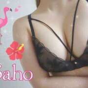 ヒメ日記 2026/04/14 00:13 投稿 さほ Club Paradise（クラブパラダイス）