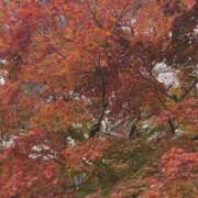 りな 初めまして。 みこすり半道場 大阪店