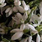 りな 今年も。。 みこすり半道場 大阪店