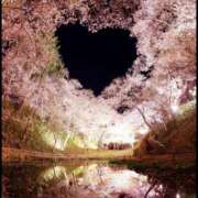 ヒメ日記 2026/04/03 07:00 投稿 りな みこすり半道場 大阪店