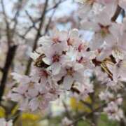 ヒメ日記 2026/04/26 00:49 投稿 さゆ 恋愛生欲情の扉