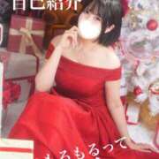 ヒメ日記 2025/11/26 19:56 投稿 もるもる The White