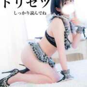 ヒメ日記 2025/11/27 12:07 投稿 もるもる The White