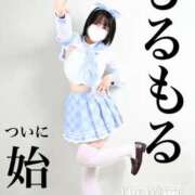 ヒメ日記 2025/12/02 10:48 投稿 もるもる The White