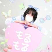 ヒメ日記 2025/12/02 14:15 投稿 もるもる The White