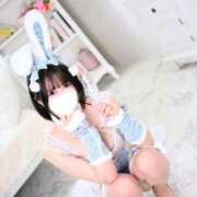 ヒメ日記 2025/12/10 09:41 投稿 もるもる The White