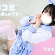 ヒメ日記 2025/12/16 15:54 投稿 もるもる The White