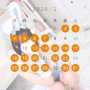 ヒメ日記 2025/12/17 09:07 投稿 もるもる The White