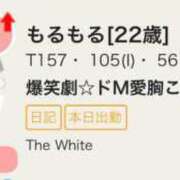 ヒメ日記 2025/12/29 15:55 投稿 もるもる The White