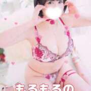 ヒメ日記 2025/12/30 07:23 投稿 もるもる The White