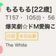 ヒメ日記 2026/01/05 13:32 投稿 もるもる The White