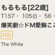 ヒメ日記 2026/01/12 16:37 投稿 もるもる The White