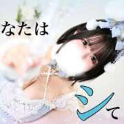 ヒメ日記 2026/01/20 07:19 投稿 もるもる The White